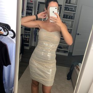 Express champagne dress NWT size 6 bodycon